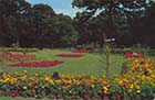 Dane Park Flower Beds  1980 | Margate History